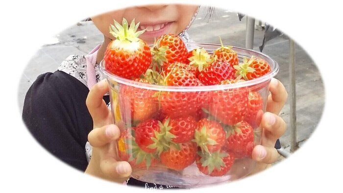 【いちご】は時期によって味わいが変わるって知ってた？時期別の変化とおいしい選び方のポイントをご紹介！