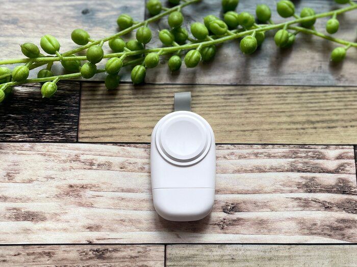 110円じゃないけどすぐ買うべき！ダイソーで見つけた、値段以上に活躍する高額商品神アイテム