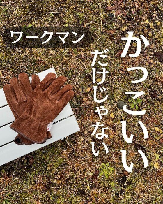 指名買いが止まらん【ワークマン】「一目ぼれ」「かっこいいだけじゃない」キャンプグッズ3選