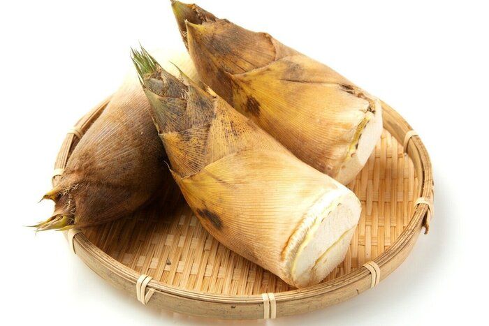 【管理栄養士監修】「たけのこ」の主な栄養素とカロリーまとめ！おすすめな調理方法とレシピ3選