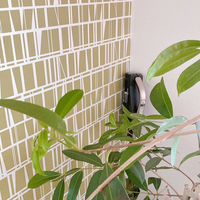 キレイな家に住む人は〇〇を出しっぱなしにしていてた！