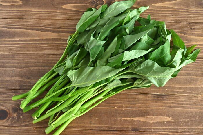 【旬食材】ほうれん草よりすごい⁉炒めて・ゆでて・生でもおいしい！「空心菜」が主役の1袋使い切り♪簡単レシピ3選