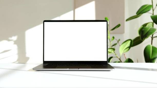 緑の植物が付いた白い机の上のラップトップの写真