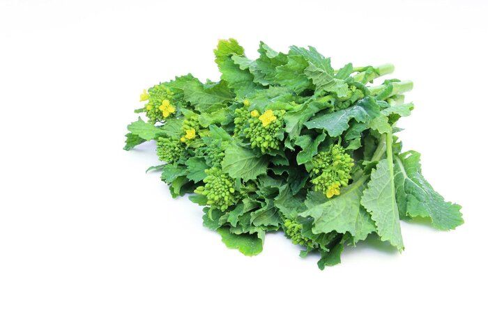管理栄養士監修 菜の花 の主な栄養素とカロリーまとめ おすすめの調理方法は サンキュ
