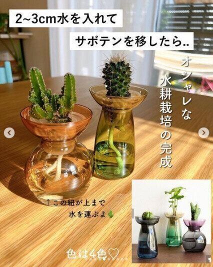 棚から消えるの早っ(泣)【3COINS】「最高！」「こんなの欲しかった」爆売れヒットアイテム