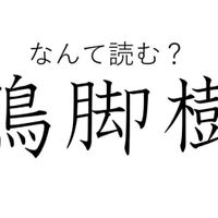 知っていると自慢できる 難読漢字クイズ 凩 はなんて読む サンキュ 知っていると自慢できる 難読漢字クイズ 凩 はなんて読む サンキュ