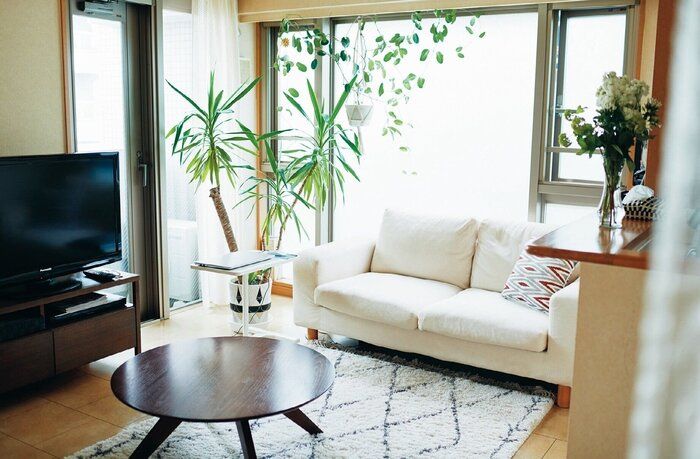 65歳人気ブロガーショコラさんの衣食住