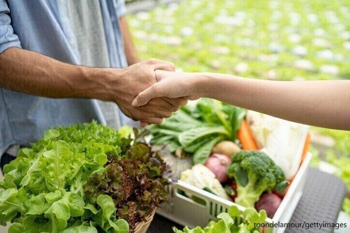 【ふるさと納税】選んでよかった！大人も子どもも大満足の食品3選