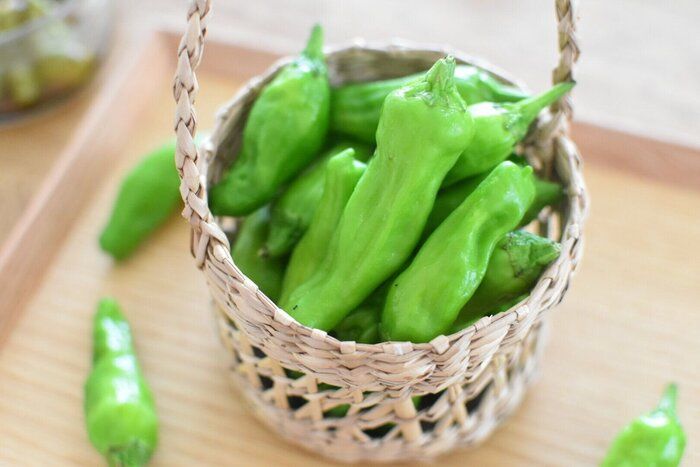 【麺つゆアレンジ】野菜のプロがはまった！旬の”ししとう”の１番おいしい食べ方