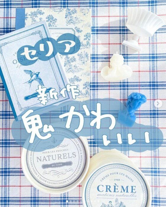 鬼かわいい！【セリア】「念願だった！」「秒でなくなるらしい」話題の秋の新作4選