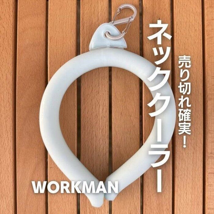 ネットでは品切れ【ワークマン】「売り切れ確実！」「収納力バツグン」激推し2選