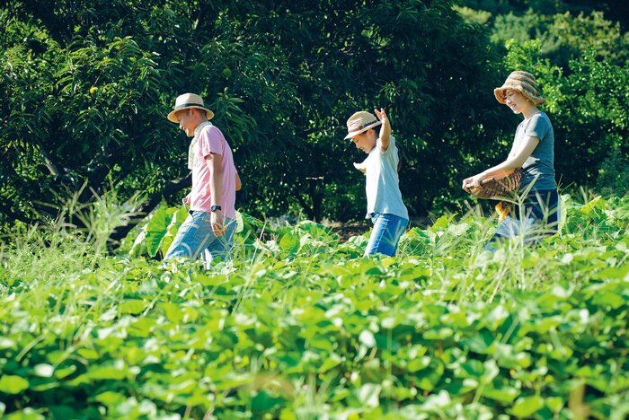生き方も働き方も全部変えたくて地方に移住！新しい幸せを見つけたとある家族のカタチ