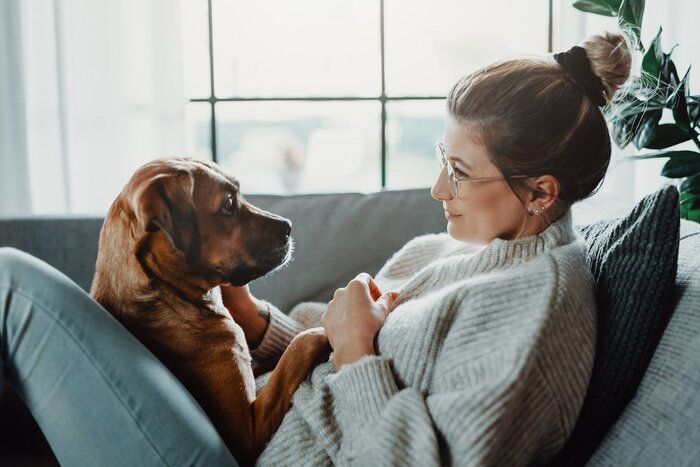 女性は抱き合い、自宅で彼女の犬と遊ぶ
