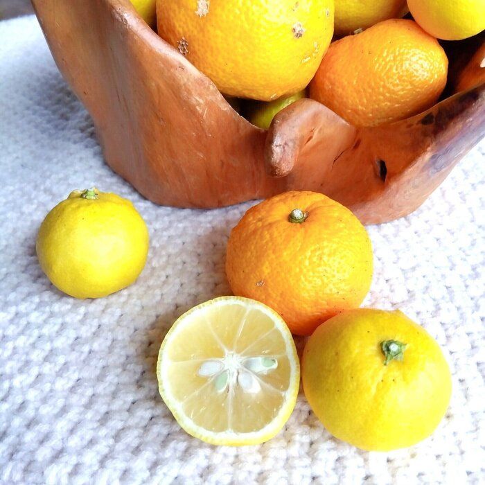 【節約中でも心ゆたかに】108円｢ゆず｣で冬を120％楽しむ