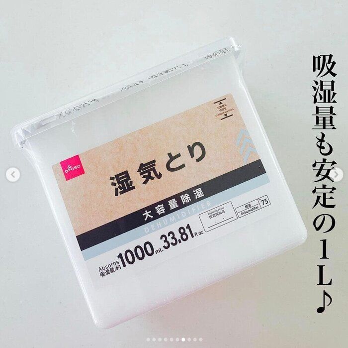 見た目おしゃれにリニューアル！【ダイソー】110円で買えちゃう！うれしい大容量アイテム