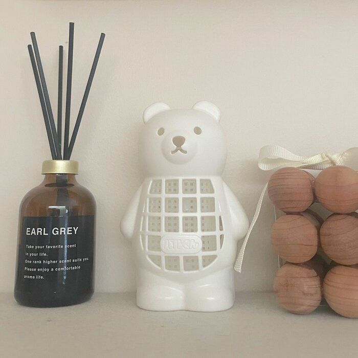 【ダイソー】夏が来る前に買って！不快な虫から守ってくれる「バルくん　虫こないでネット」